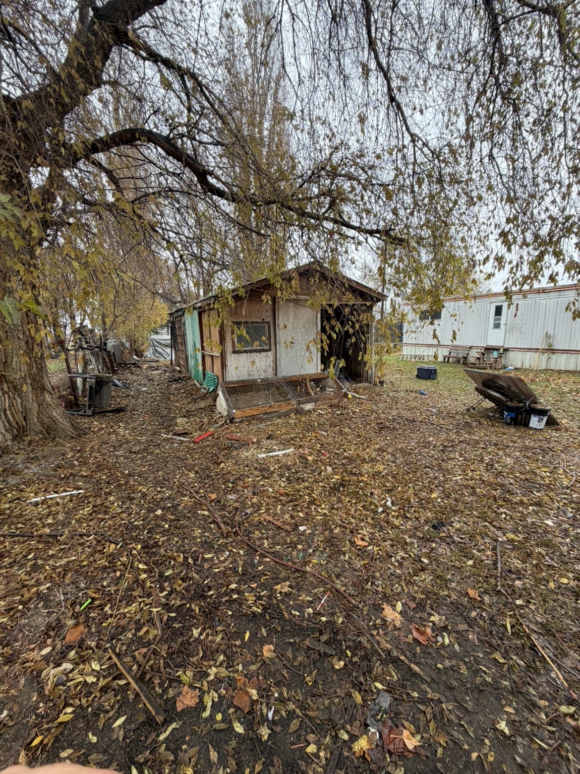 Backyard bikes and toys removal — after